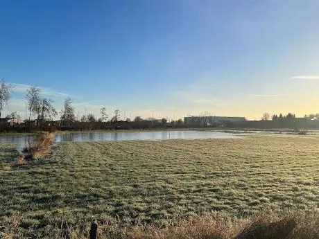 Kleine Gavers