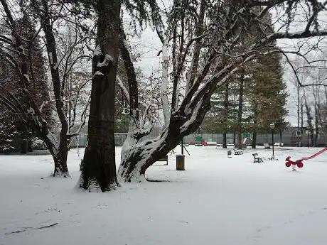 Photo de Parco Della Stazione