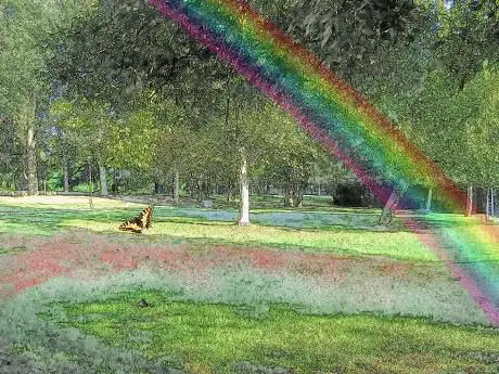 Photo de Parco degli Alberi Narranti ï¸