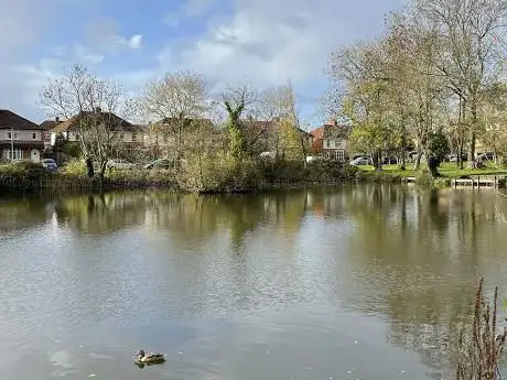 Browne's Pond