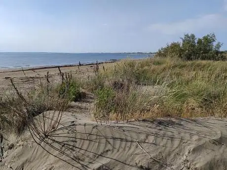 Photo de Spiaggia degli Alberoni