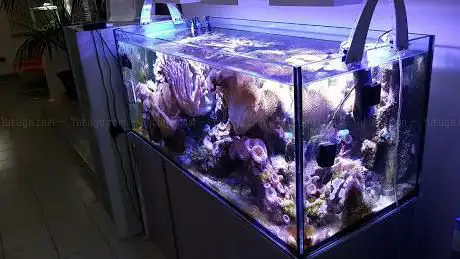 Photo de Aquaristica (S.R.L.)