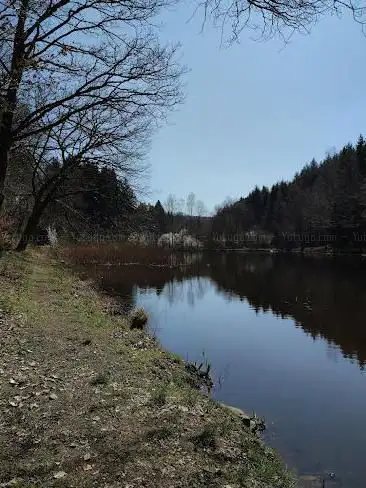 Sägeweiher
