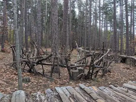 Photo de Speelbos Meetshovenbos
