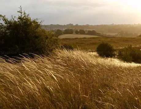 Photo de Breeze Hill