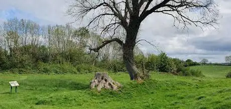 Photo de Navan Fort