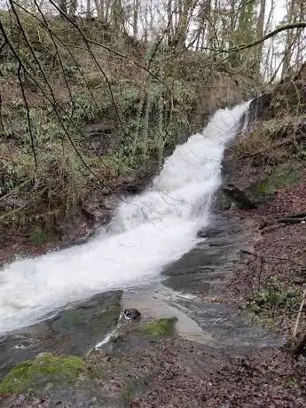 Photo de Dams to Darnley Park