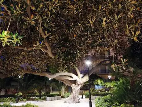 Photo de Giardino di Iano