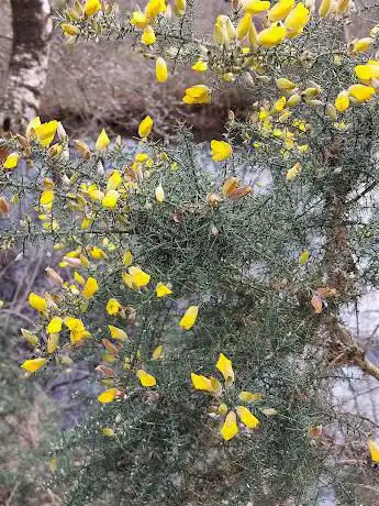 Réserve naturelle régionale du plateau des landes