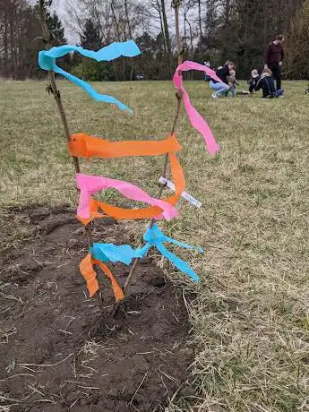 Speelbos Schensbos