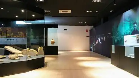 Photo de Museo Arqueológico Antonio Ballester y Ruiz