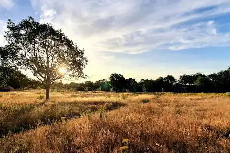 Photo de Holmwood Park SANG