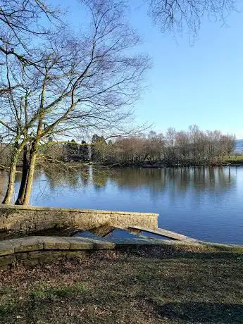 Gnoll Country Park - Waterfall And Stream