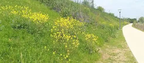 Tégéval (voie verte)