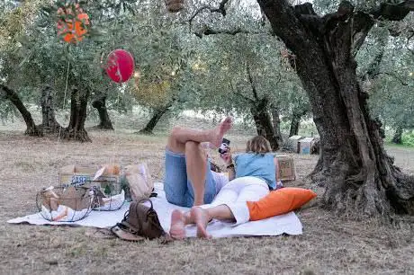 Photo de Imbrunire il picnic fra gli ulivi