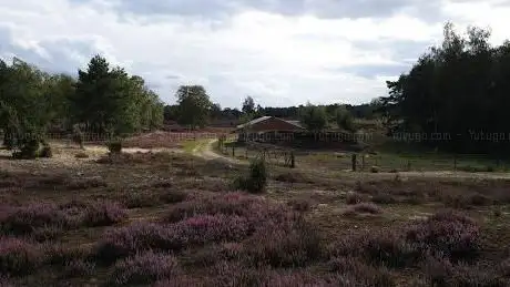 Vleermuisbunker