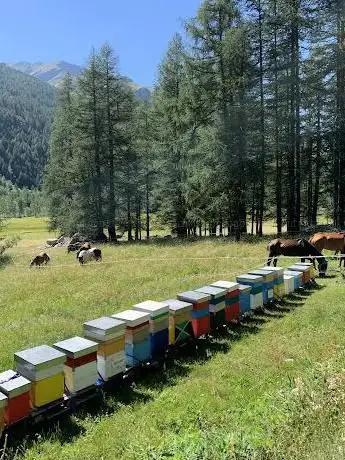 Photo de Maneggio Il Destriero