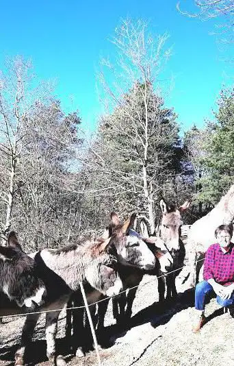 Photo de A LA BOSSE DES ÂNES , LA BOSSE GOURMANDE et AUTOUR DE LA BOSSE