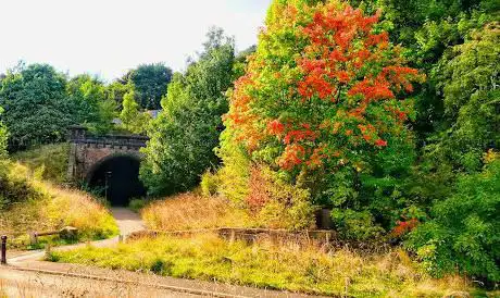 Earlsheaton Tunnel