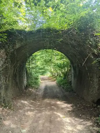 Photo de Lovelace Bridges Trail