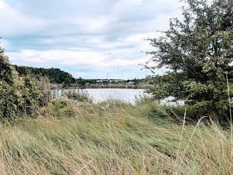 Photo de Swanscombe Marshes