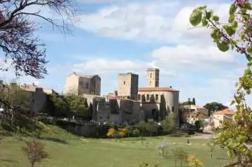 Photo de La vigne du Parc