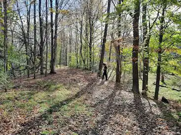 Photo de White River Disc Golf Course