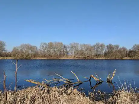 Bassleton Wood & The Holmes