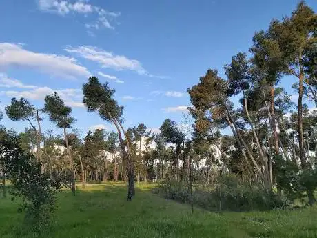Photo de Paseo Ermita Park