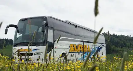 Photo de Albisser Reisen AG