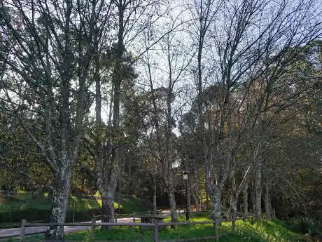 Zona de descanso a Devesa do Rei