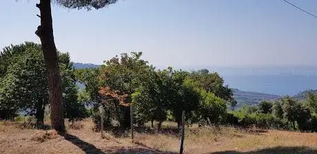 Photo de Chiesa di San Francesco in Contrada Pernicaniglia