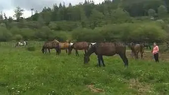 Photo de Oosting-HorseRiding