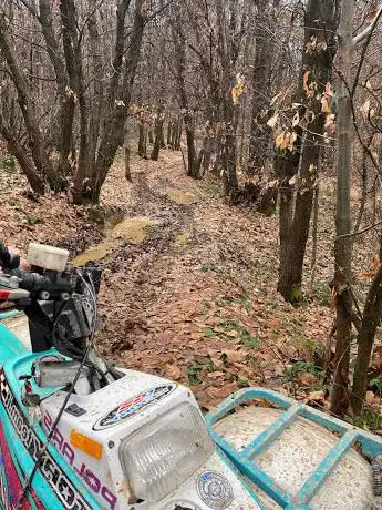 Photo de Escursioni in quad