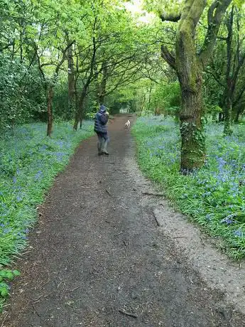 Photo de Westwood Nature Reserve