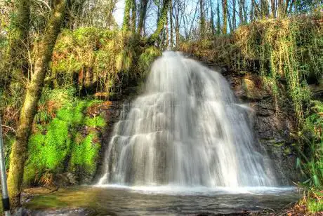 Photo de Fervenza de Rubio
