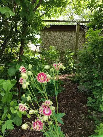 Photo de Greaves Forage Garden