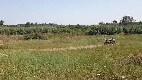 The champions ranch