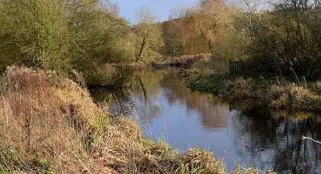Photo de Sarratt Bottom nature reserve