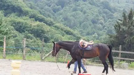 Scuderia del vento asd
