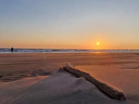 Photo de Tentsmuir forest and beach