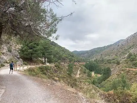 Photo de Camino del nacimiento del rÃÂo Darro