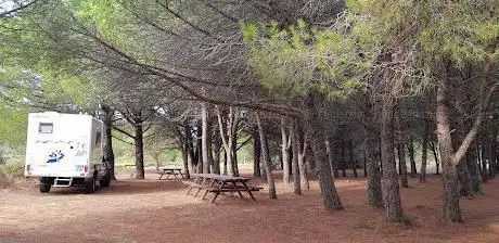 Photo de Aire de picnic