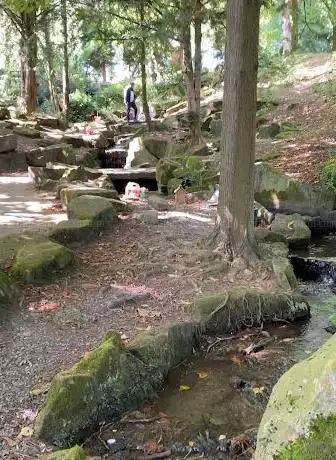 Photo de The Fairy Dell