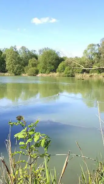 Photo de Reserve Ornithologique
