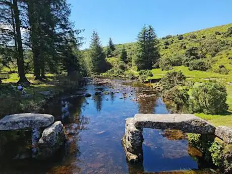 Bellever Forest