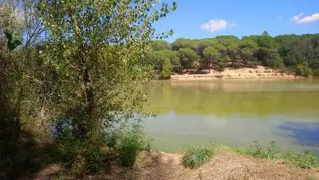 Photo de Pantà de Can Llop