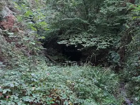 Photo de Tunel Via Vieja Lezama - Salida Txorierri