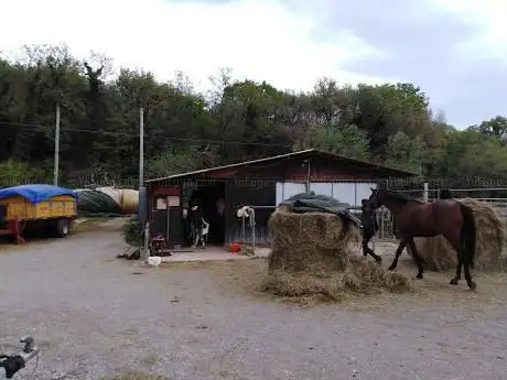 Photo de ASD Circolo Ippico della Rosandra