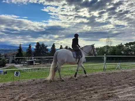Centro Equestre Stangoni ASD